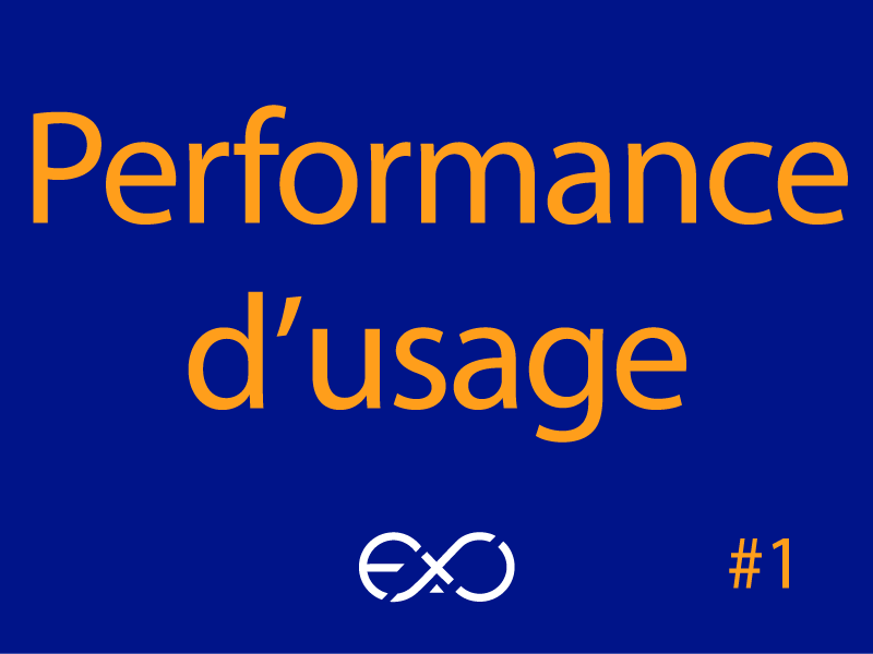 Performance d'usage définition